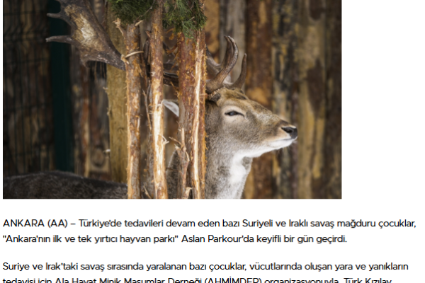 Suriye ve Irak'tan gelen savaş mağduru 15 çocuk, aslan parktaki hayvanlarla buluştu